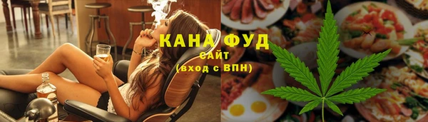 PSILOCYBIN Алзамай
