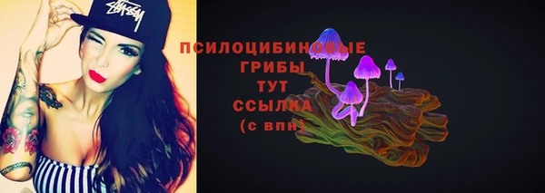PSILOCYBIN Алзамай