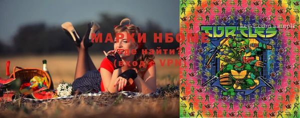 мдпв Елабуга