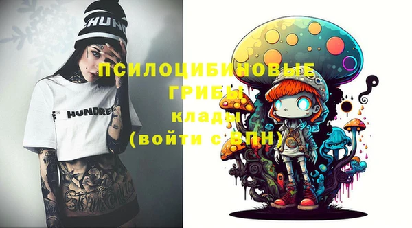 PSILOCYBIN Алзамай