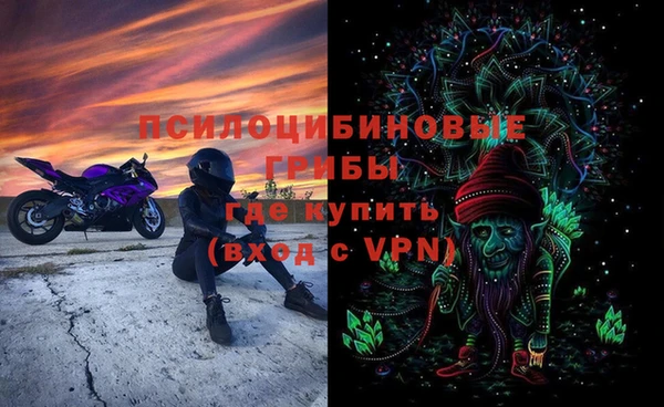 PSILOCYBIN Алзамай