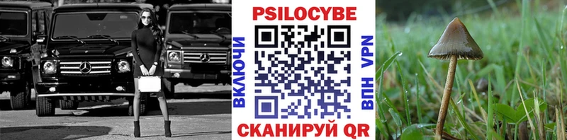 Галлюциногенные грибы Psilocybe  мега ССЫЛКА  Гуково  даркнет сайт 